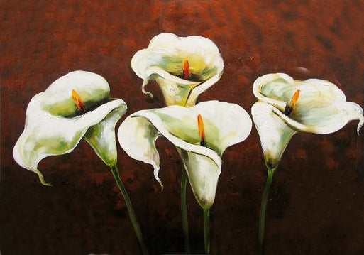The Enchanting Calla Lily