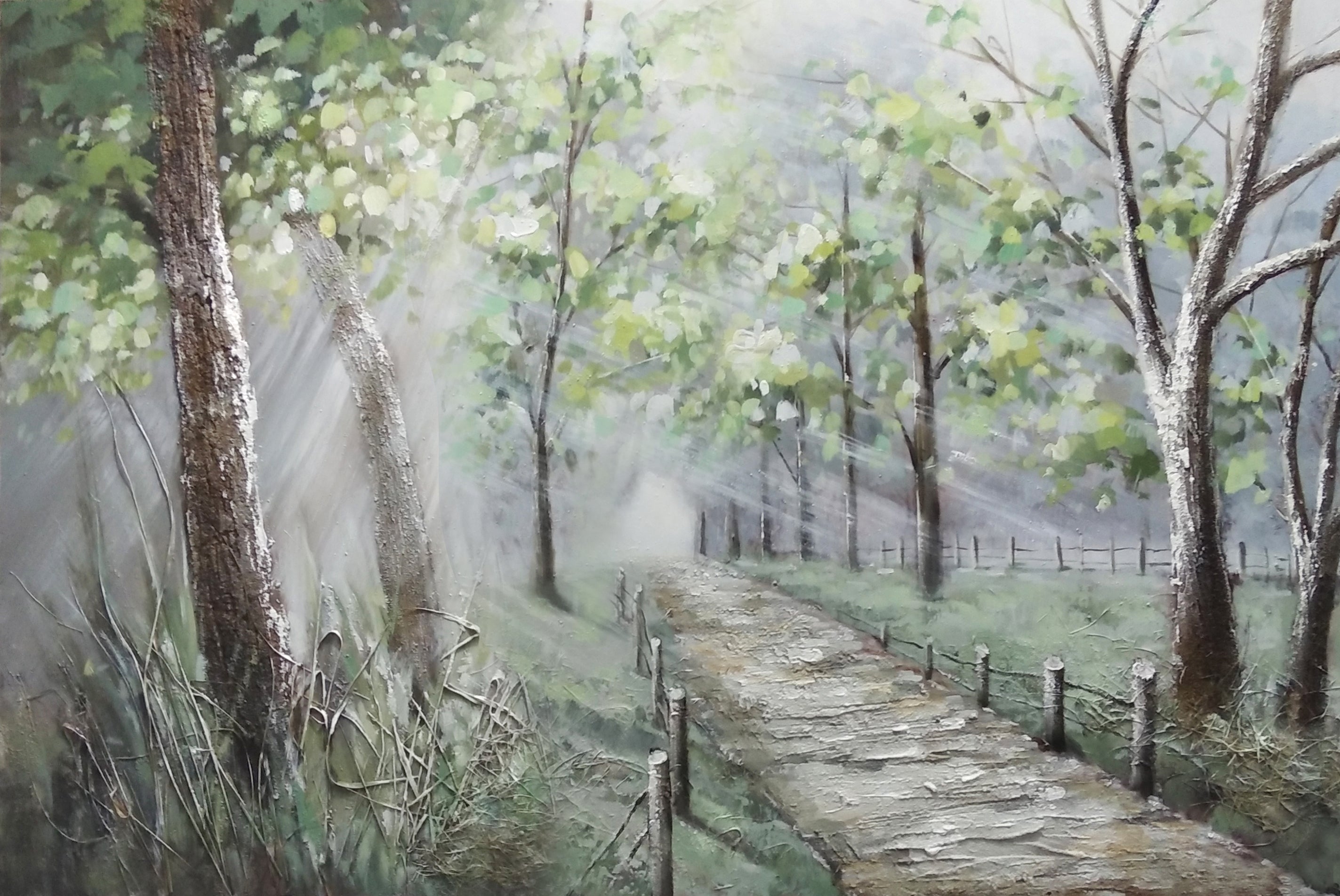 Tree Trail
