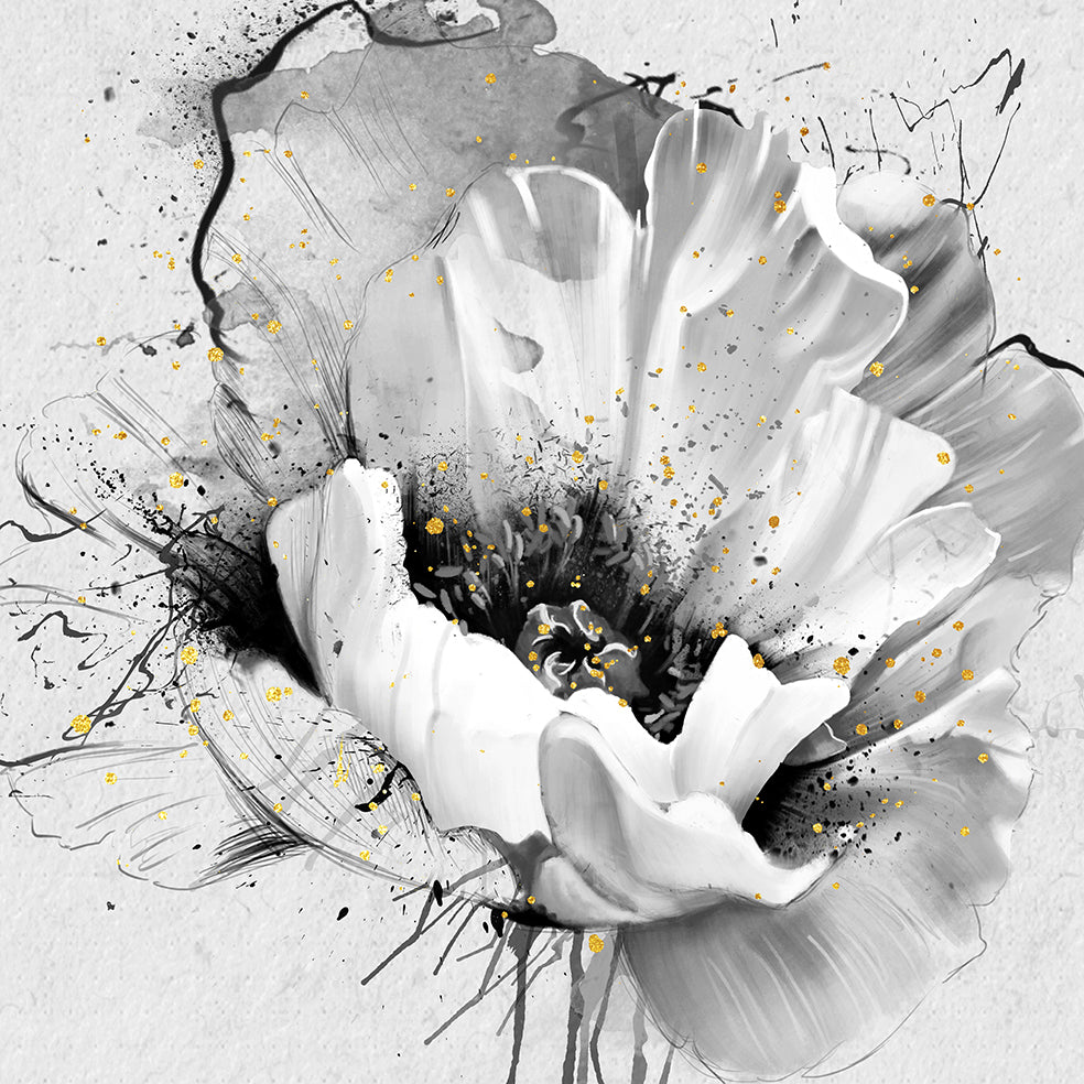 Poppy Flower